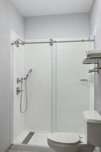Un baño de Springhill Suites by Marriott Frankenmuth
