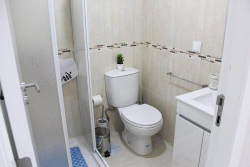 a small bathroom with a toilet with a plant on top at Sunday Lovers - FB - 96 in Coimbra