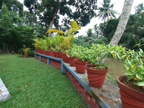 a row of potted plants sitting on a bench at Ra Ga Riverside - 2 Bedroom Retreat in Kumarakom