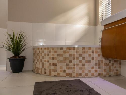 a kitchen with a tiled counter and a plant at 8 On Penny Guesthouse in Nelspruit