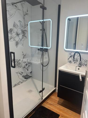 a shower with a glass door next to a sink at La closerie de BelleVue in Saint-Avertin