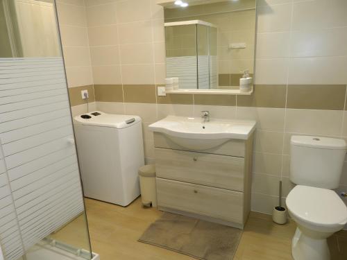 a bathroom with a sink and a toilet and a mirror at Gite Les Cassagnes 