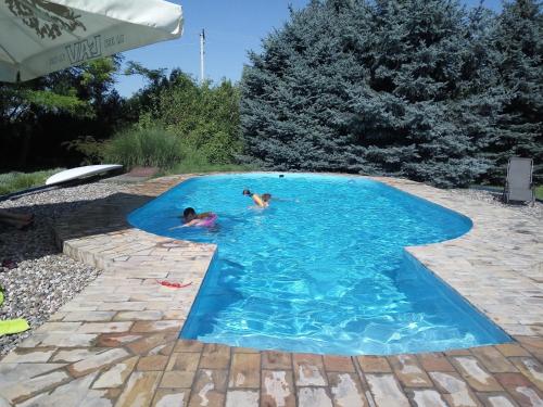 Billede fra billedgalleriet på Country House i Palić