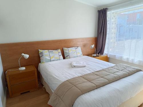 a bedroom with a bed and a window at Bayfield Motel and Apartment in Dunedin