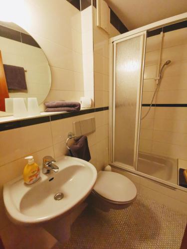 a bathroom with a sink and a toilet and a shower at Kaiserstühler-Hof in Breisach am Rhein