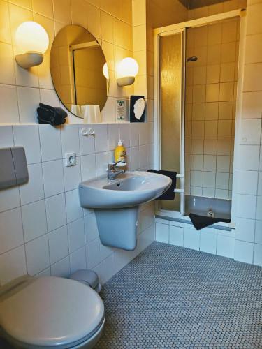 a bathroom with a sink and a toilet and a mirror at Kaiserstühler-Hof in Breisach am Rhein