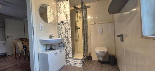 Un baño con lavabo, ducha e inodoro. en Apartment in Vaihingen an der Enz - Ensingen, en Vaihingen an der Enz