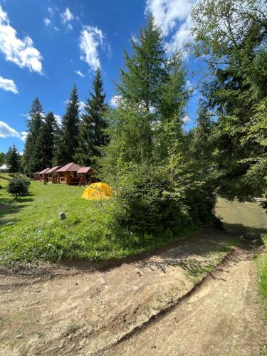 a campsite with a tent and trees and a dirt road at Садиба Урочище Луг in Vorokhta