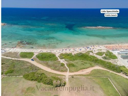 an aerial view of the beach and the ocean at Casa Paola vista mare - Starlink in Specchiolla 