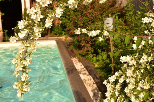 Der Swimmingpool an oder in der Nähe von Gîte de Cep et de Grès