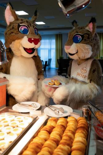 two stuffed cats sitting next to a table of doughnuts at Hotel Frymburk in Frymburk