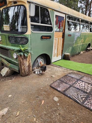 Fotografie z fotogalerie ubytování Banksia Bus v destinaci Longley Lower