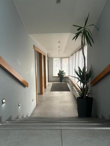 a hallway with a staircase with a potted plant at Hotel Restauracja Kaukaska Jadwiga Choroszy in Wolsztyn