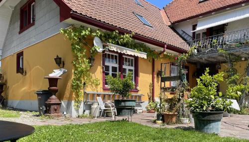 a house with chairs and plants in a yard at Ferienwohnung Altes Rathaus Bergalingen in Rickenbach
