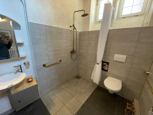 a bathroom with a shower and a toilet and a sink at Ferienwohnung Altes Rathaus Bergalingen in Rickenbach