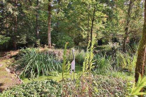 a bird standing in the water in a garden at Gite Moments à Soy in Soy