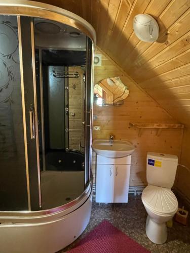 a bathroom with a toilet and a shower and a sink at Садиба Урочище Луг in Vorokhta