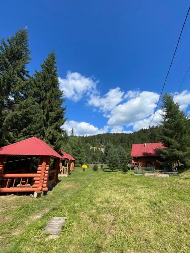a group of buildings in a field with trees at Садиба Урочище Луг in Vorokhta