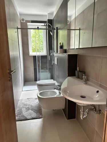 a bathroom with a sink and a shower and a toilet at Zwei Buchen in BRE