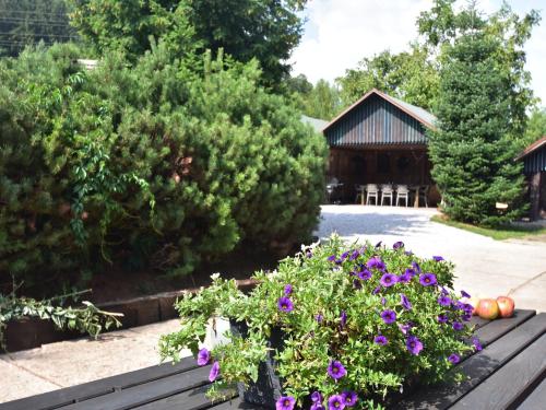 Chalet in Levínská Ole near Giant Mountainsにある庭