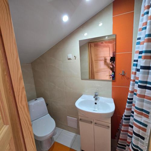 a bathroom with a sink and a toilet and a mirror at Domki letniskowe SOKÓŁ in Okuninka