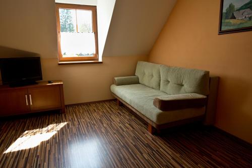 a living room with a couch and a television at Penzion Trojkámen in Nové Losiny