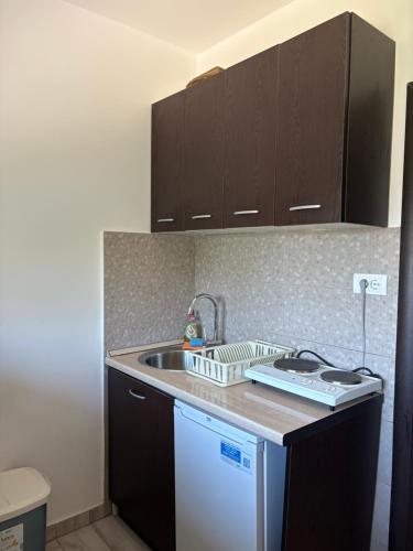 a kitchen with a sink and a counter top at Vila Una Fruška gora in Novi Sad