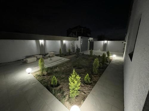 a garden with plants and lights on the side of a building at VM Villa in Baku