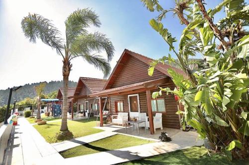 Foto dalla galleria di חלום שלמה a Shefer