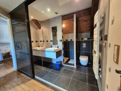 a bathroom with a sink and a toilet at Le Berthoir in Pélussin