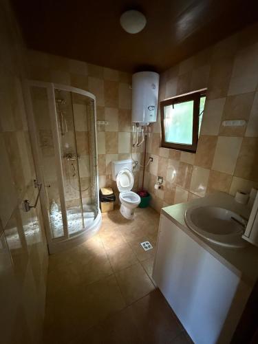 a bathroom with a toilet and a shower and a sink at VILLAGEbythelake Bicaz in Bicaz