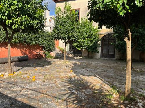 a courtyard with two trees in front of a building at Residenza in palazzo storico del 1601 in Airola