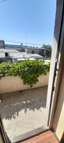 a window view of a plant on a ledge at Avan Guesthouse 3 in Yerevan