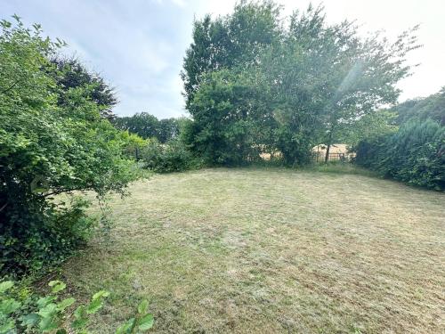 a field with a tree in the middle of it at 92 qm - Premium Unterkunft - Wibbelt No 23 in Greven