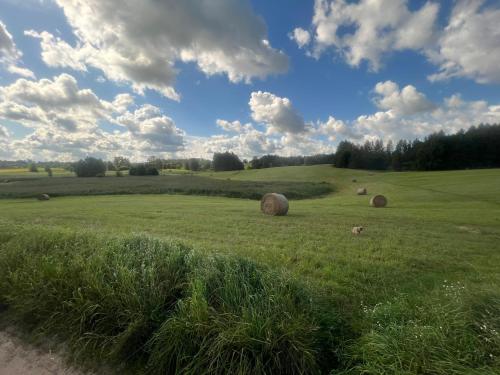 a field with hay bales in the middle of a field at Pod tulipanem nad jeziorem in Zawady Oleckie