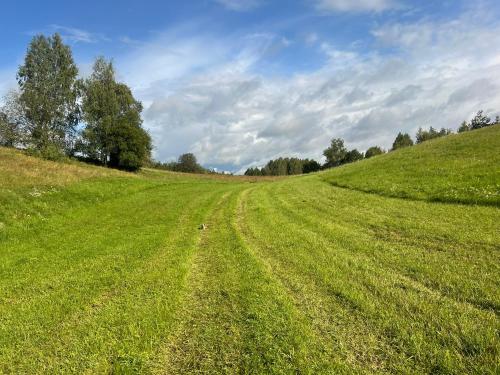 a field of green grass with trees on the horizon at Pod tulipanem nad jeziorem in Zawady Oleckie