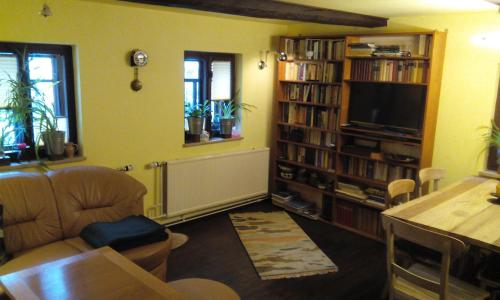 een woonkamer met een bank, een televisie en boekenplanken bij Ferienhaus Frieda in Kurort Altenberg