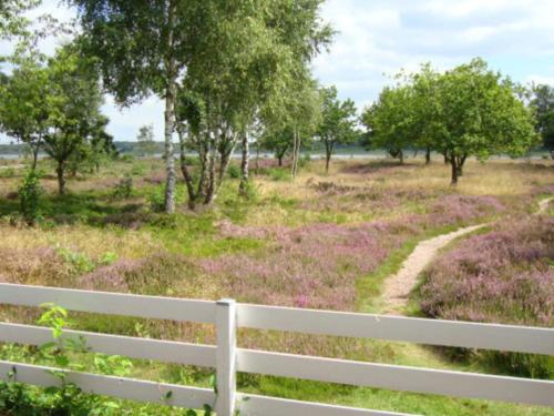 a white fence in front of a field with trees at 8 person holiday home in Højslev-By Traum in Sundstrup