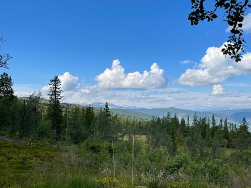 a view of the mountains from the top of a hill at Orrelie by Norgesbooking - cabin with a lovely view in Ål