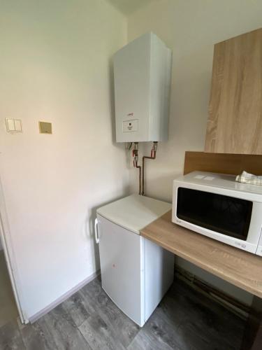 a kitchen with a counter with a microwave and a refrigerator at Tisá byt in Ústí nad Labem