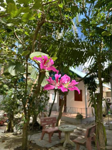 Сад в Green Garden Homestay