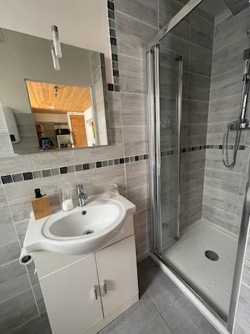 une salle de bain avec lavabo et douche dans l'établissement Studio RIGA, à Ax-les-Thermes