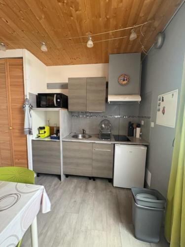 une petite cuisine avec un évier et une poubelle dans l'établissement Studio RIGA, à Ax-les-Thermes