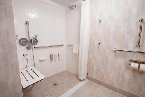 a bathroom with a shower and a toilet at Hampton Inn Salt Lake City-North in Woods Cross