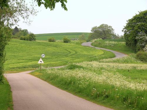 Naturlandskabet i nærheden af feriehuset