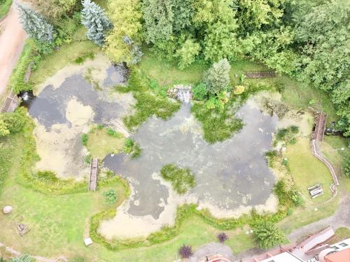 an overhead view of a large pond with trees at Belfort- Łomża in Łomża