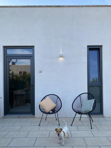 a dog sitting between two chairs and a building at Le stanze di Otello in Ruffano