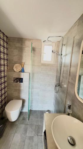 a bathroom with a shower and a toilet and a sink at Euphoria Luxury apartment in Faliraki