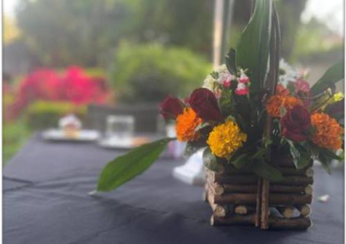 Jardín al aire libre en The Flamingo Suite at Frederick's Place