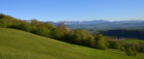 a green hill with trees on a green field at Le Vernay en Savoie - Petit Hôtel Nature in Saint-Maurice-de-Rotherens